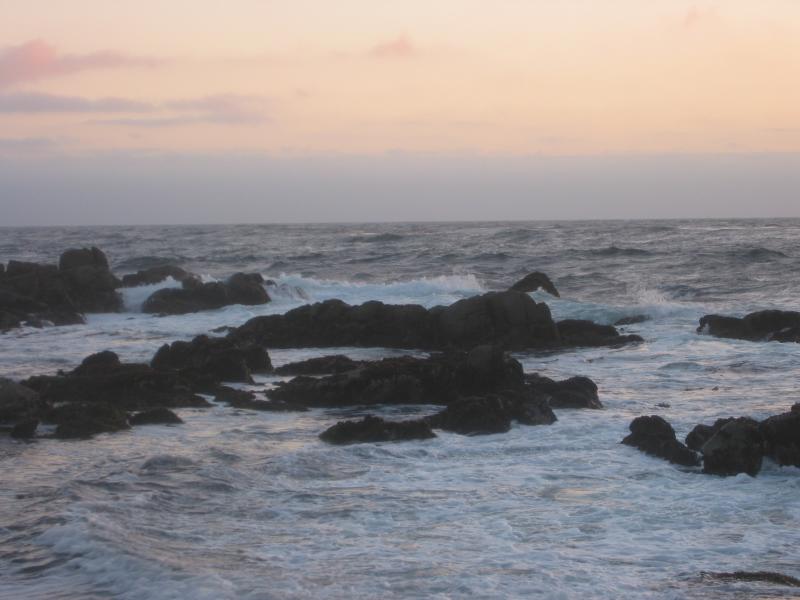 2004/06 June/Monterey Big Sur/800x600_IMG_0872.JPG